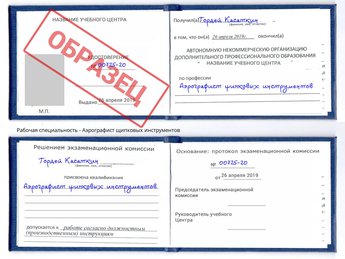 Обучение Аэрографист щипковых инструментов