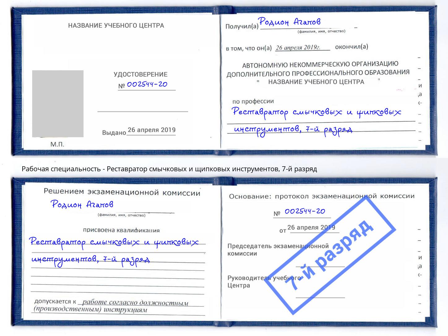 корочка 7-й разряд Реставратор смычковых и щипковых инструментов Череповец