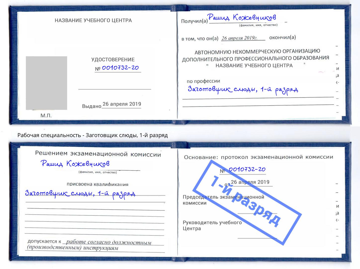 корочка 1-й разряд Заготовщик слюды Череповец